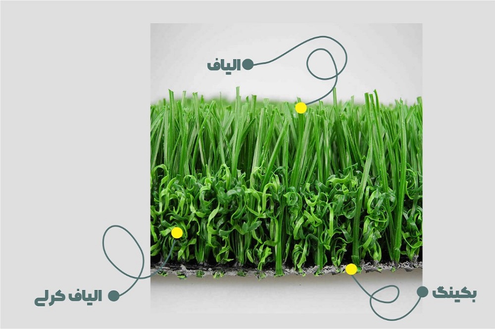 نان اینفیلد
